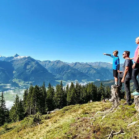 Alpen Zell Am Niedernsill